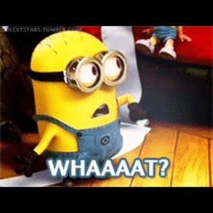 Meet your Posher, Nora